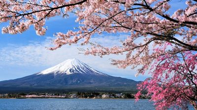 [6 ngày 5 đêm] KHÁM PHÁ NHẬT BẢN MÙA HOA 2026 HÀ NỘI – NAGOYA – NARA – OSAKA – KYOTO – NÚI PHÚ SĨ – TOKYO – HÀ NỘI - Image - 8701