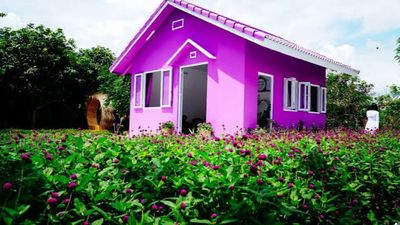 Tour Du Lịch Liên Tuyến Miền Tây - Tây Ninh 4N3Đ - Image - 25309