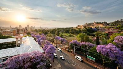 Tour Khám Phá Thiên Đường Bí Ẩn Nam Phi: Johannesburg – Pretoria – Game Lodge – Cape Town (8N7Đ) - Image - 25494