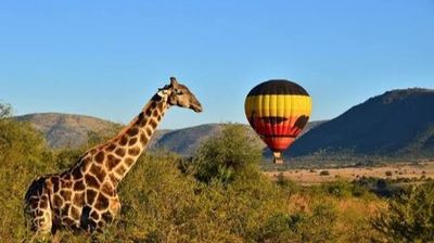 Tour Hà Nội - Nam Phi: Cape Town - Sun City - Pretoria - Johannesburg 8N7Đ - Image - 25492
