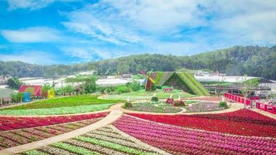 Tour Đà Lạt 4N3Đ: Nhà Thờ Domain - Puppy Farm - Vườn Hoa Cẩm Tú Cầu Kết Hợp Teambuilding Và Gala Dinner - Image - 25498