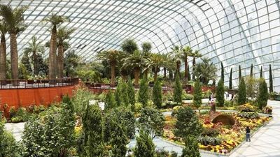 Tour Cao Cấp Hải Trình Hồ Chí Minh - Singapore: Du Thuyền Star Voyager Sang Trọng - Image - 25543