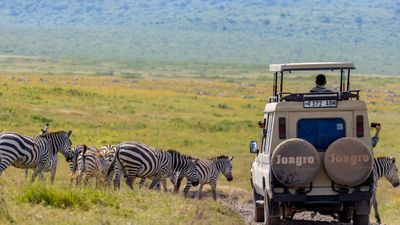 2-Day Safari to Tarangire and Ngorongoro Crater - Image - 22019