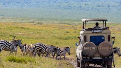 6-Day Tanzania Group Safari with 2 Nights in Serengeti - Image - 21977
