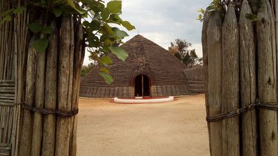 7-Day Rwanda Primate and Safari Adventure: Volcanoes, Nyungwe and Akagera - Image - 11324