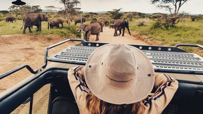 10 Days Kenya Safari in the South & Coast Escape - Image - 15077
