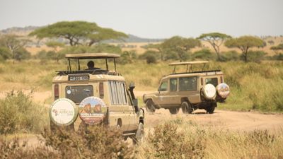 7-Day Tanzania Migration (Central and South Serengeti) - Image - 20614