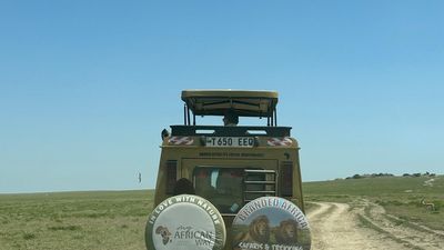 7-Day Tanzania Migration (Central and South Serengeti) - Image - 20611