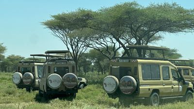 7-Day Tanzania Migration (Central and South Serengeti) - Image - 20610