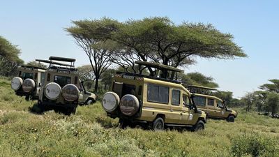 7-Day Tanzania Migration (Central and South Serengeti) - Image - 20609