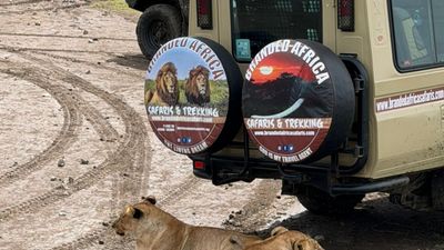 7-Day Tanzania Migration (Central and South Serengeti) - Image - 20607