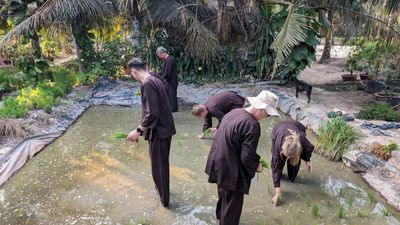 New Tour 2-Day Explore: Cu Chi Tunnels-Mekong Delta Homestay - Image - 21129
