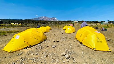 7-Day Machame Route – Mount Kilimanjaro Climbing Adventure - Image - 21692