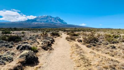 7-Day Machame Route – Mount Kilimanjaro Climbing Adventure - Image - 21694