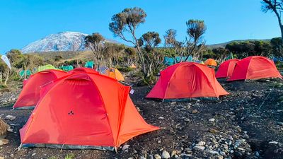 7-Day Machame Route – Mount Kilimanjaro Climbing Adventure - Image - 21691