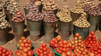 Addis Ababa City Tour – Museums, Mercato, Entoto & Ethiopian Coffee Experience - Image - 19584