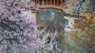 Cherry Blossom Tour Pakistan: Hunza-Skardu-Islamabad - Image - 18121