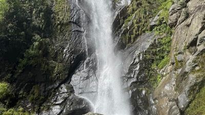 3 Night 4 days Bhutan Tour - Image - 19325