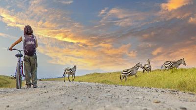 14 DAYS LUXURY BUSH TO ZANZIBAR BEACH SERENITY - Image - 9005