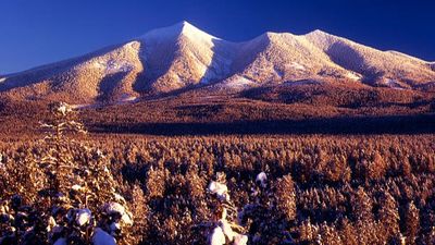 West Coast USA 12D11N - Image - 11459