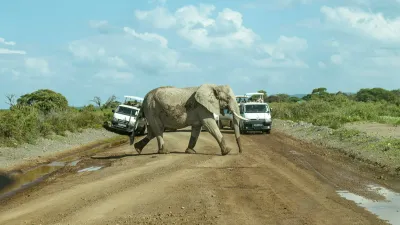 7 Days Best of Kenya safari - Image - 10747