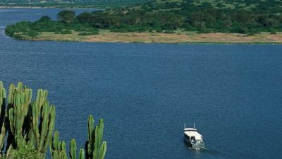 6-Day Budget Friendly African Safari and Gorilla Trekking - Image - 26676