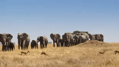 Tsavo West & Tsavo East Safari from Mombasa – The Land of Giants - Image - 21211