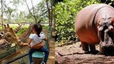 Haller Park Day Tour Mombasa Nature & Wildlife Experience - Image - 26114