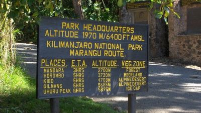 8-Day Encounter the Big 5 & Mt Kilimanjaro & Coffee Tour - Image - 21741
