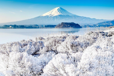 Tour Nhật Bản Tết Dương lịch 2026: OSAKA - NÚI PHÚ SĨ - KYOTO - CHUBU - NAGOYA - YAMANASHI - Image - 3865