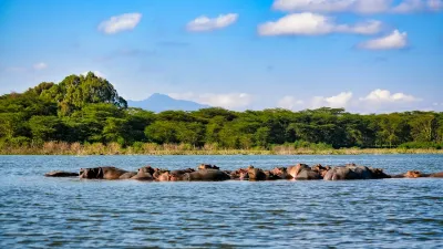7 Days Best of Kenya safari - Image - 10753