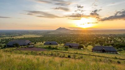 7-Day Exclusive Luxury Safaris - Image - 22029