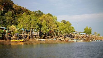 Evening Wetland National Park - Night Safari – Malaysia - Image - 11169
