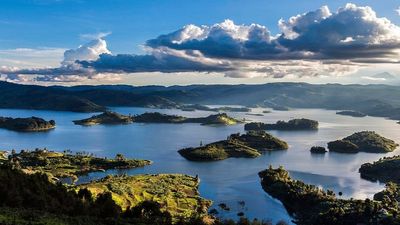 4-Day Short Vacation to Uganda - Gorilla Trekking Bwindi - Image - 26692