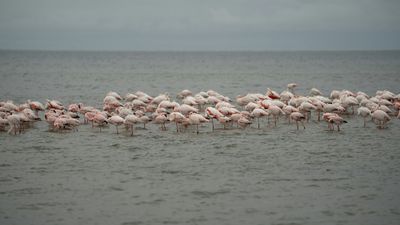 5 DAYS PRIVATE SAFARI - Image - 25263