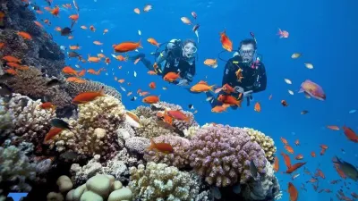 Cham Island Sightseeing & Snorkeling Tour, pick up at Danang or Hoian - Image - 19884