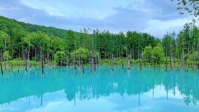 HÀ NỘI / TP HỒ CHÍ MINH – ASAHIKAWA – FURANO - SAPPORO – OTARU - Image - 12729