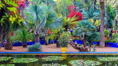 Tour Maroc: Hành trình từ Casablanca đến Sahara huyền bí - Image - 25505