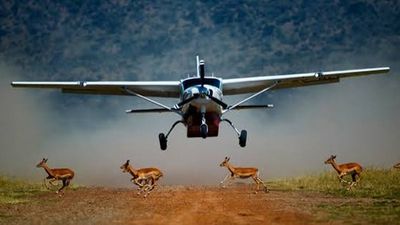 3 Days Mombasa to Masai Mara Big Five Luxury Flying Safari Tour - Image - 20385