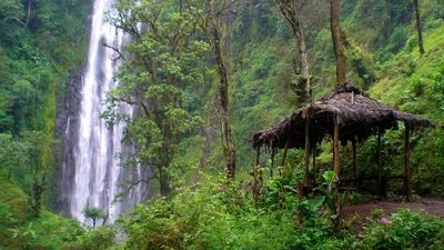 4-Day Fly-in Safari Serengeti, Ngorongoro & Coffee Tour - Image - 21744