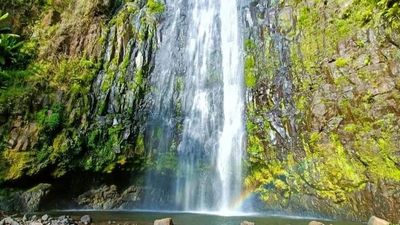 3-Day Ngorongoro, Cofee Tour (Mid-Range Escape ) - Image - 21819
