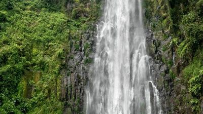 3-Day Ngorongoro, Cofee Tour (Mid-Range Escape ) - Image - 21818