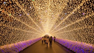 NHẬT BẢN 5N5Đ: TP HỒ CHÍ MINH - OSAKA - KYOTO - PHÚ SĨ - TOKYO - Image - 12233