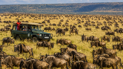 5 Days Masai Mara Migration & Nakuru Big Five Budget Safari - Image - 22060