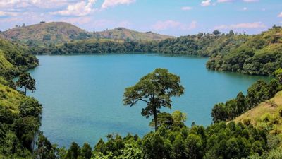 7-Day Short Vacation Package – Safari & Gorilla Trekking - Image - 26686