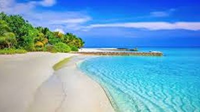 Wasini Island Dolphin Tour & Kisite Marine Park - Image - 21257