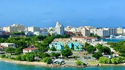 Wasini Island Dolphin Tour & Kisite Marine Park - Image - 21258
