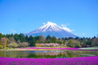 NARITA – TOKYO – YAMANASHI – FUJI – YOKOHAMA  ⏰ 5 DAYS 4 NIGHTS - Image - 269