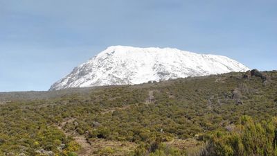 7-Day Machame Route – Mount Kilimanjaro Climbing Adventure - Image - 21701