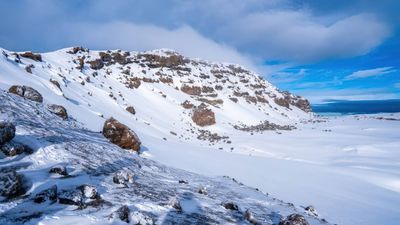 7-Day Machame Route – Mount Kilimanjaro Climbing Adventure - Image - 21698